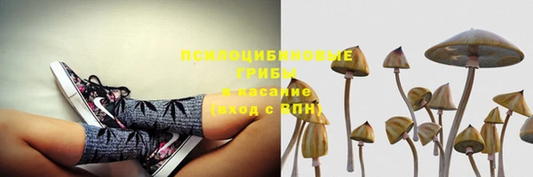 spice Сосновка