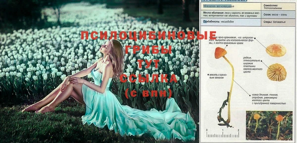 гашиш Устюжна