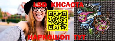 индика Гусев
