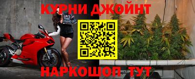 индика Гусев