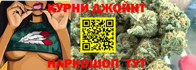 индика Гусев