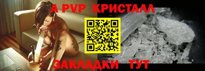 индика Гусев