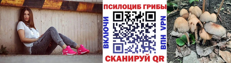 где найти наркотики нарко площадка состав Псилоцибиновые грибы прущие грибы Муром