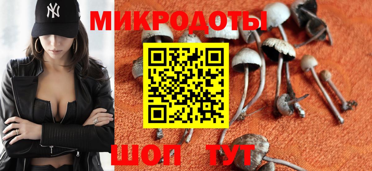Муром  Галлюциногенные грибы мицелий  Вход с VPN 