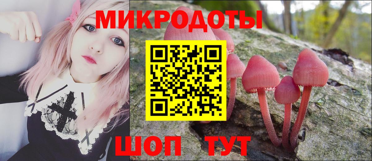 Псилоцибиновые грибы прущие грибы Муром