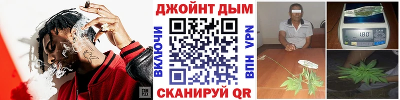 где можно купить   Муром  Канабис сатива 